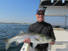 Dan's striped bass 8-21-13